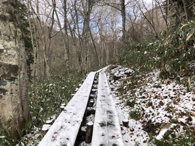 雪の木道