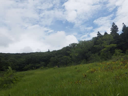 玉原湿原