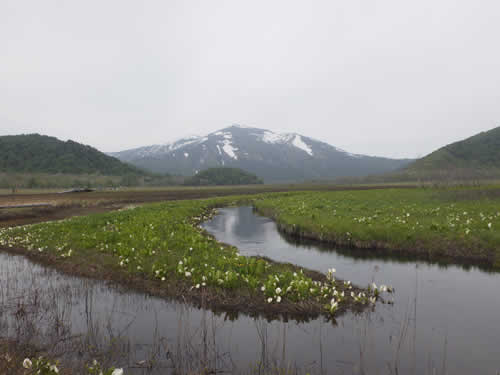 下野大堀川