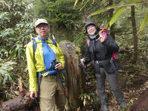 白砂峠