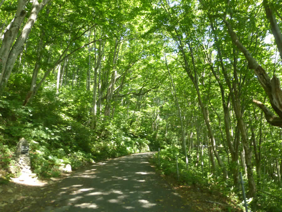 一ノ倉沢ハイキング