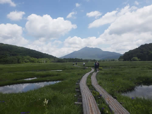 上田代