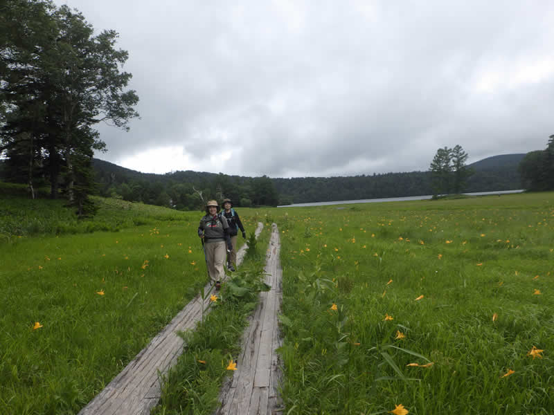 大江湿原ハイキング