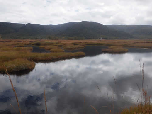 草紅葉と池塘その2