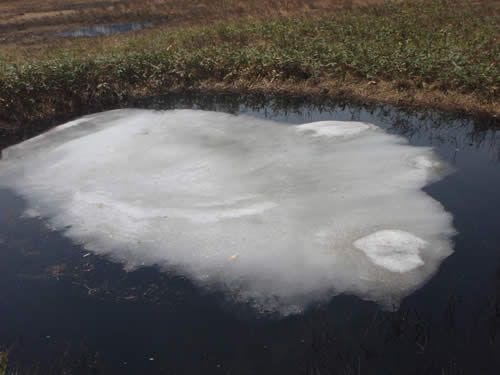 池塘の残雪